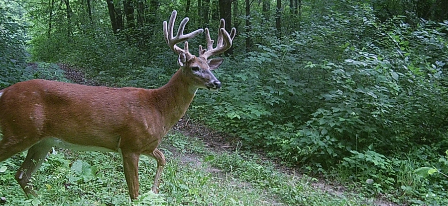 County Road M County Road M, Osceola, WI 54020 - #2
