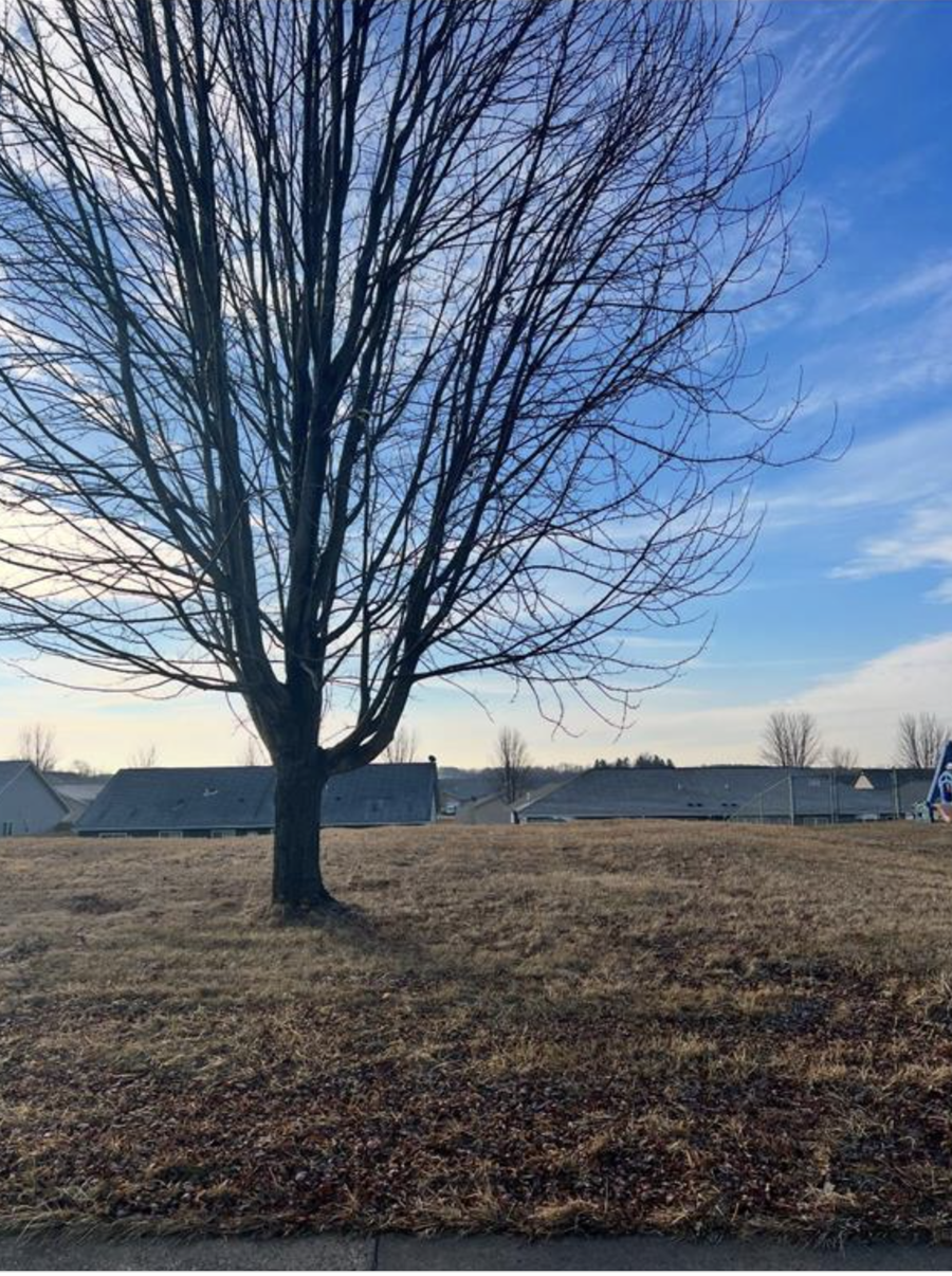 288 Birch Street, Baldwin, WI 54002 - #3