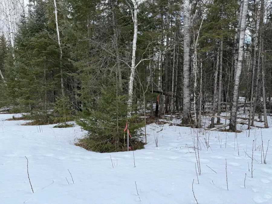 TBD Town Road 211, International Falls, MN 56649 - #2