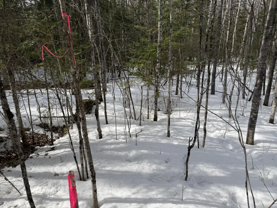 TBD Town Road 211, International Falls, MN 56649 - #3