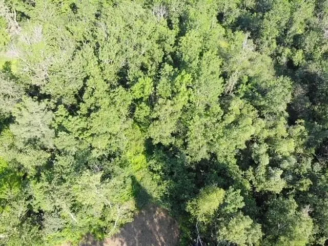 TBD Co Hwy 71, Wadena, MN 56482 - #3