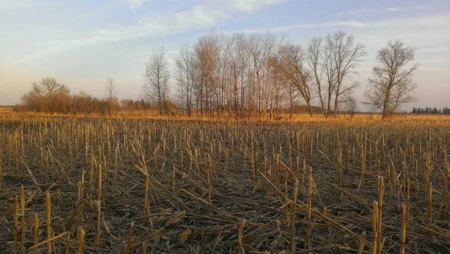 TBD 16-005-0102 Mille Lacs County, Princeton, MN 55371 - #3