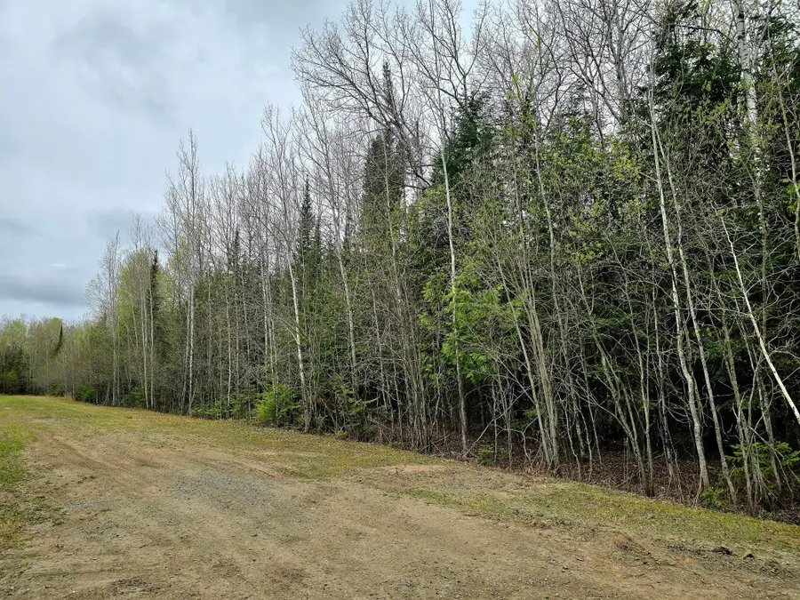 TBD 4th Avenue 22nd Street W, International Falls, MN 56649 - #2