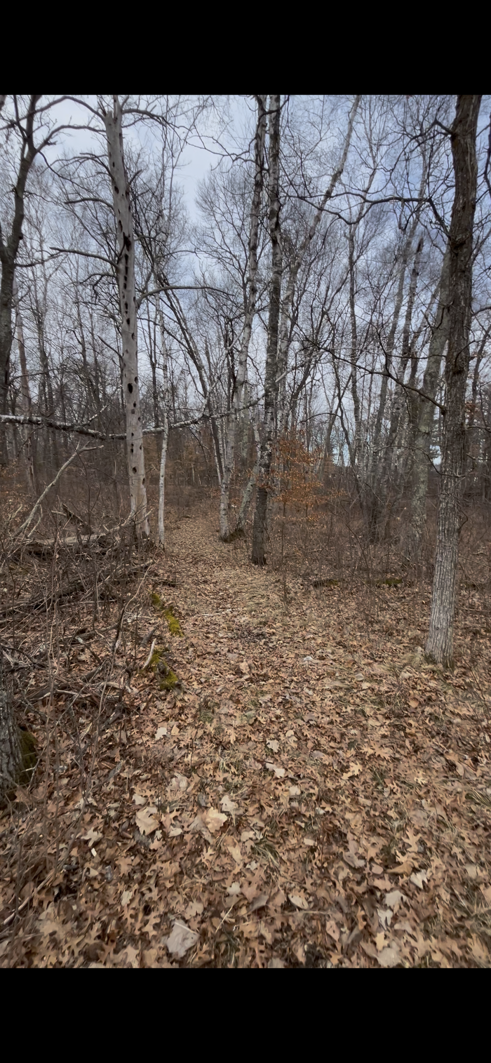 TBD Big Pine Trail, Crosslake, MN 56442 - #1