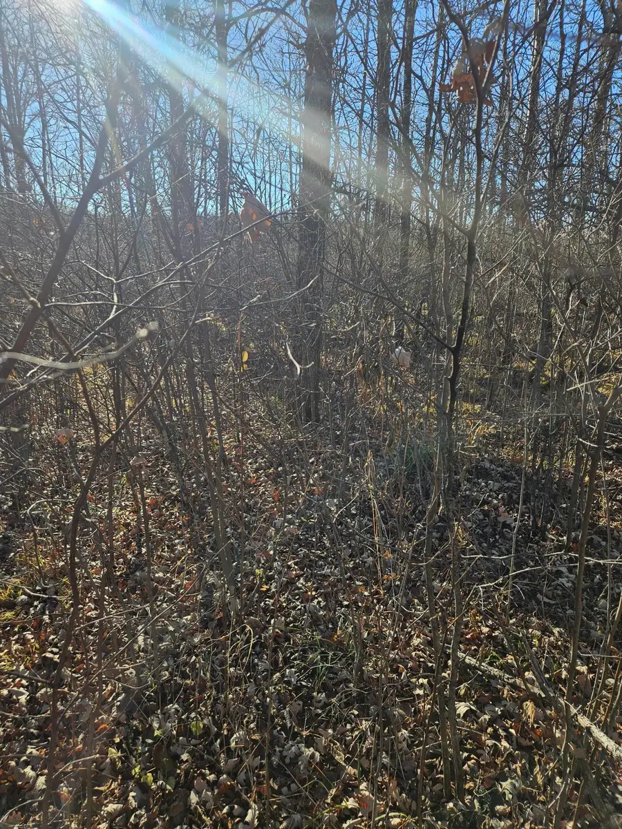 TBD T252, Waubun, MN 56589 - #3