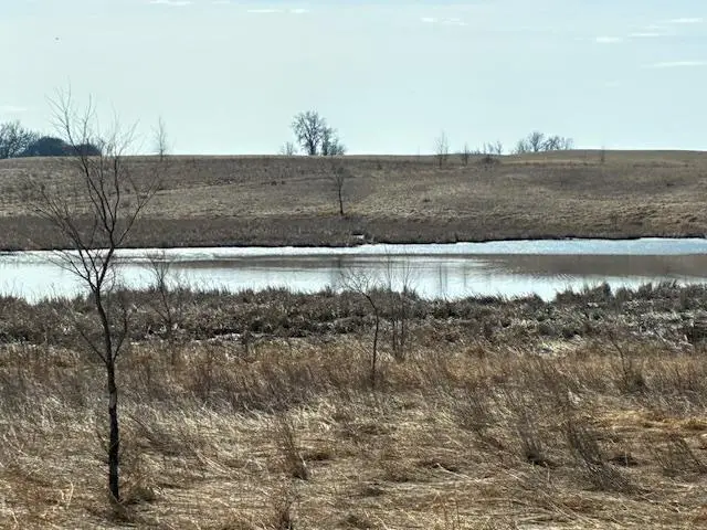 27181 Cr-10, Starbuck, MN 56381 - #3