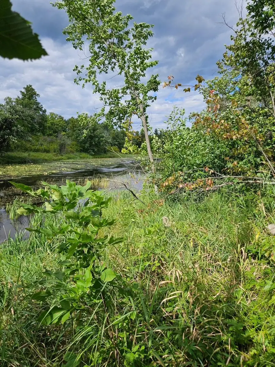 _ Birch Circle Drive Nw, Baudette, MN 56623 - #3