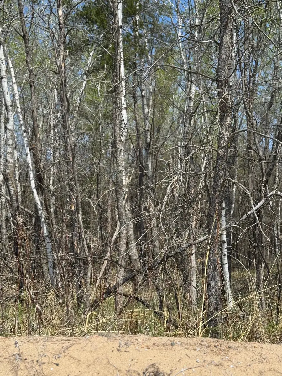 TBD Lakeview Lane, Merrifield, MN 56465 - #3