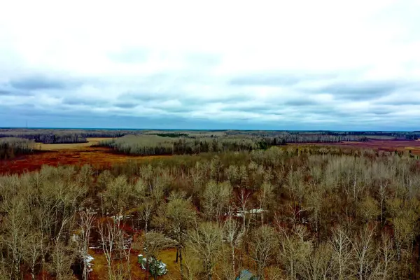 61613 Park Hills Road, Bruno, MN 55712