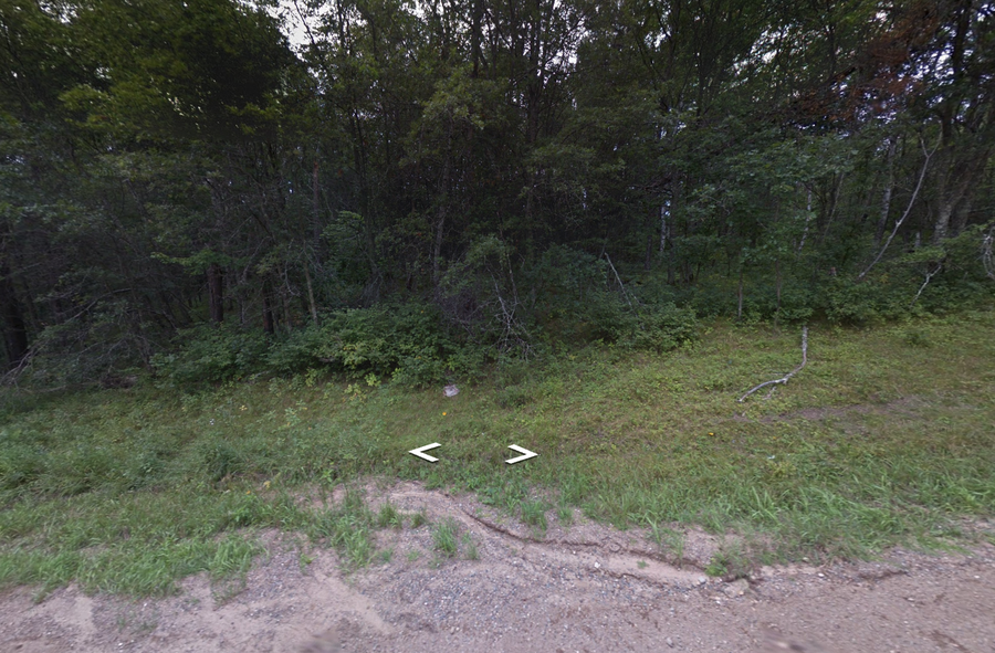 30XXX Rainier Drive, Breezy Point, MN 56472 - #3