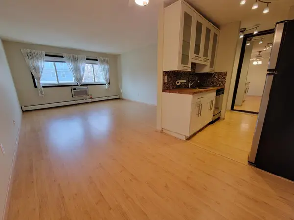 2616 Harriet Avenue #207, Minneapolis, MN 55408