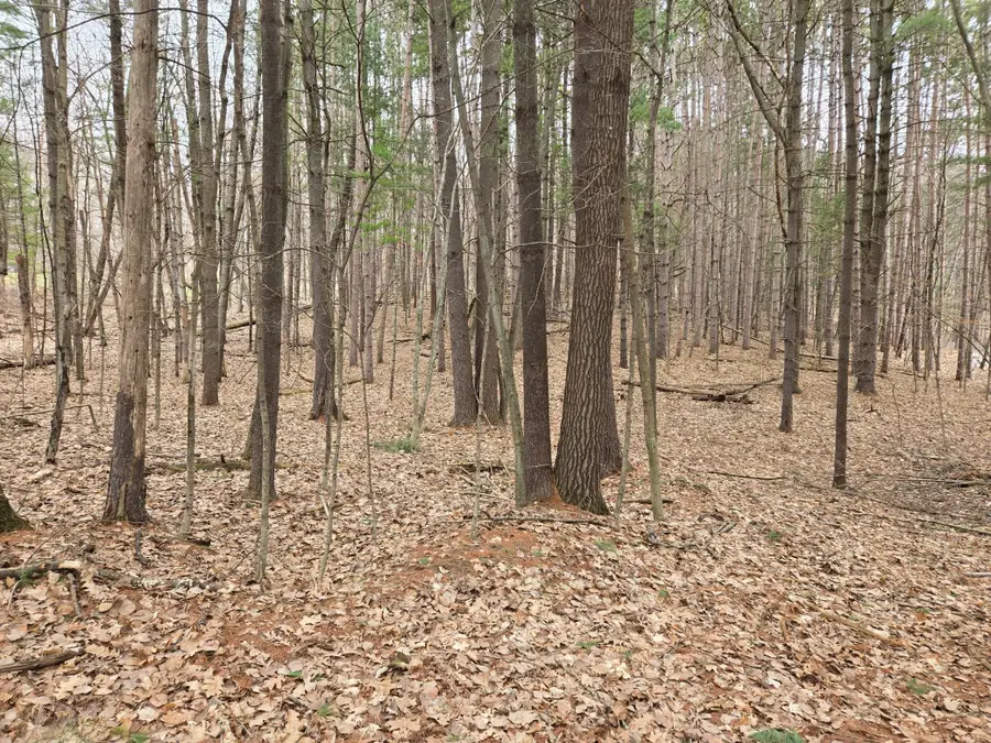 E5310 732nd Avenue, Menomonie, WI 54751 - #3