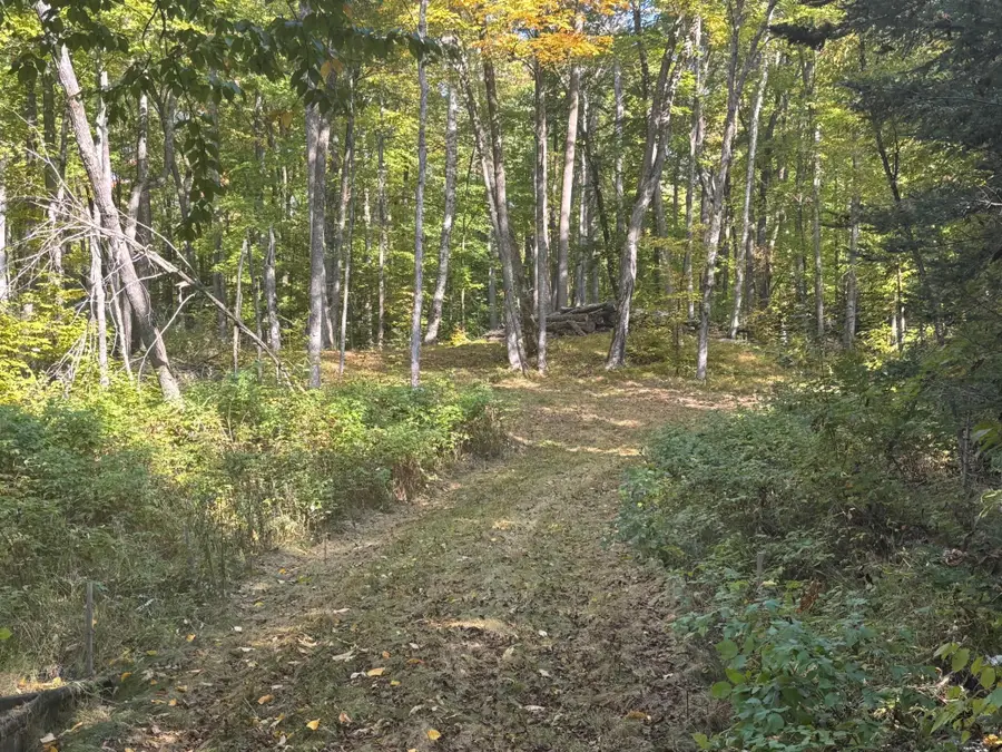 TBD North Sherrys Arm Road, Grand Rapids, MN 55744 - #3