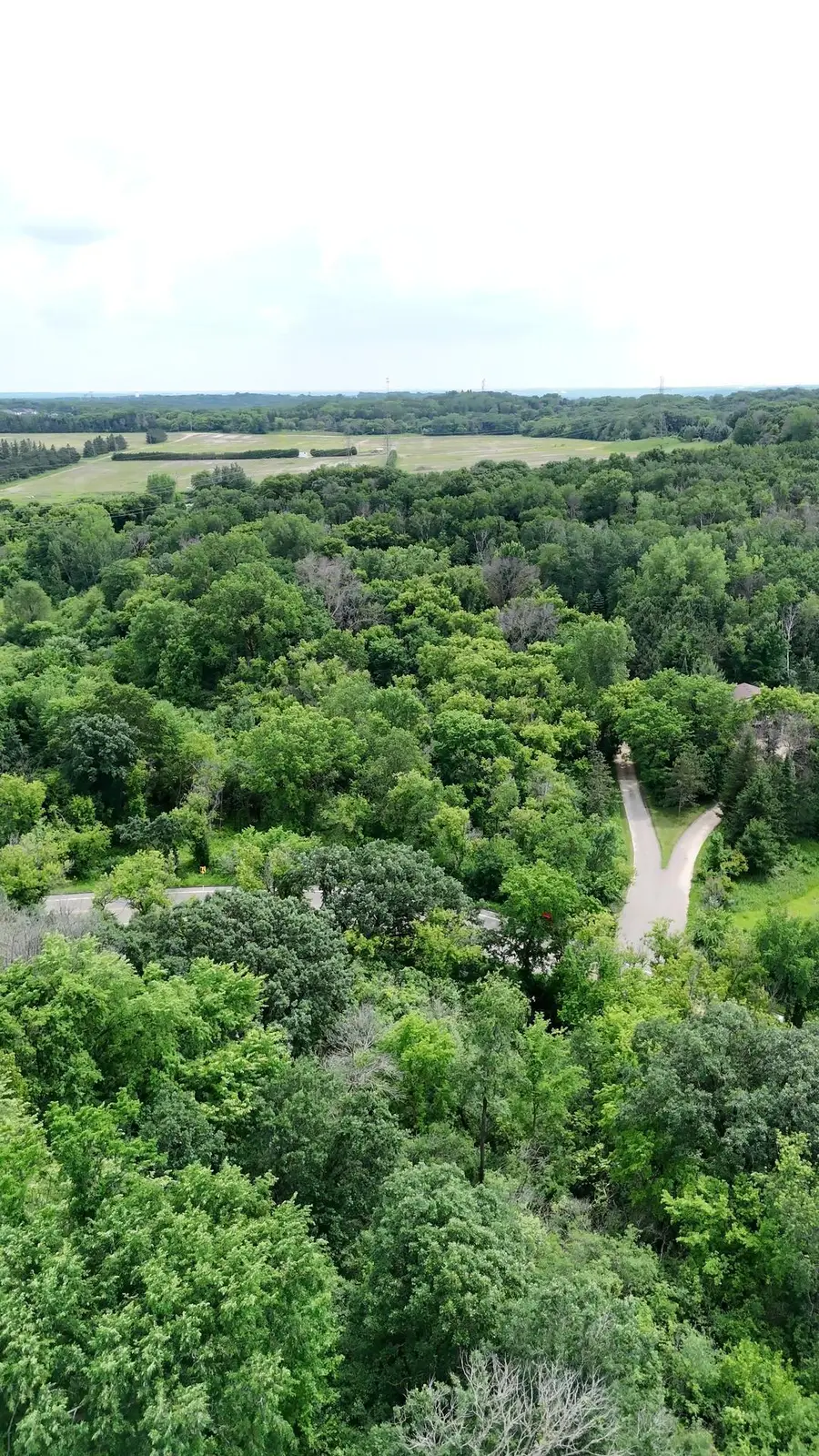 2685 Carver Avenue E, Maplewood, MN 55119 - #2