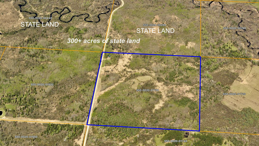 9298 Hingeley Road, Meadowlands, MN 55765 - #2