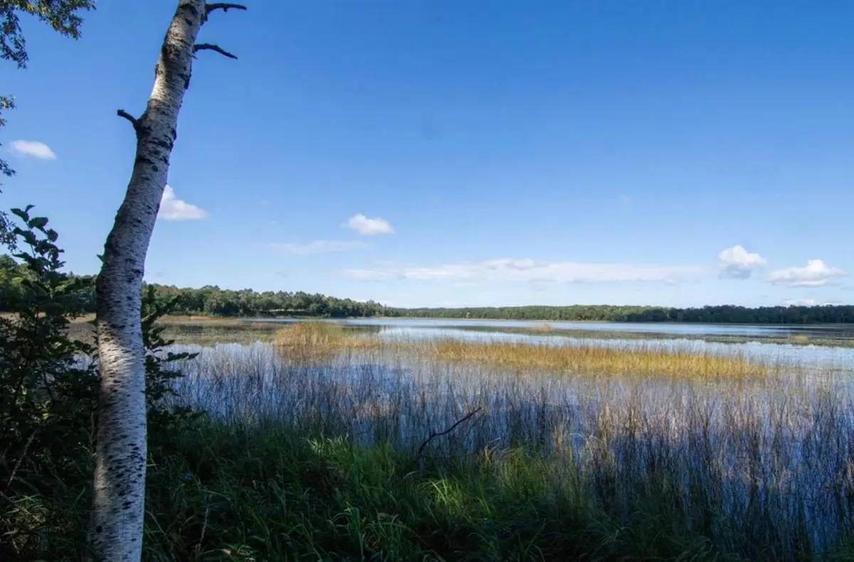 TBD Deacons Way, Pequot Lakes, MN 56472 - #1