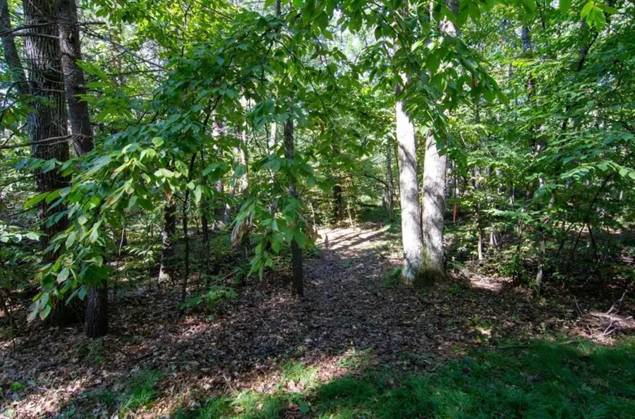 TBD Deacons Way, Pequot Lakes, MN 56472 - #3