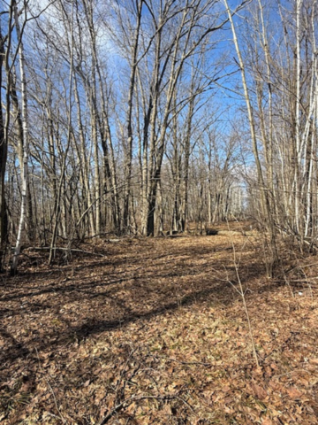TBD Woodchuck Trail, Cushing, MN 56443 - #3