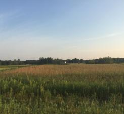 8354 169th Avenue Ne, Forest Lake, MN 55025 - #3