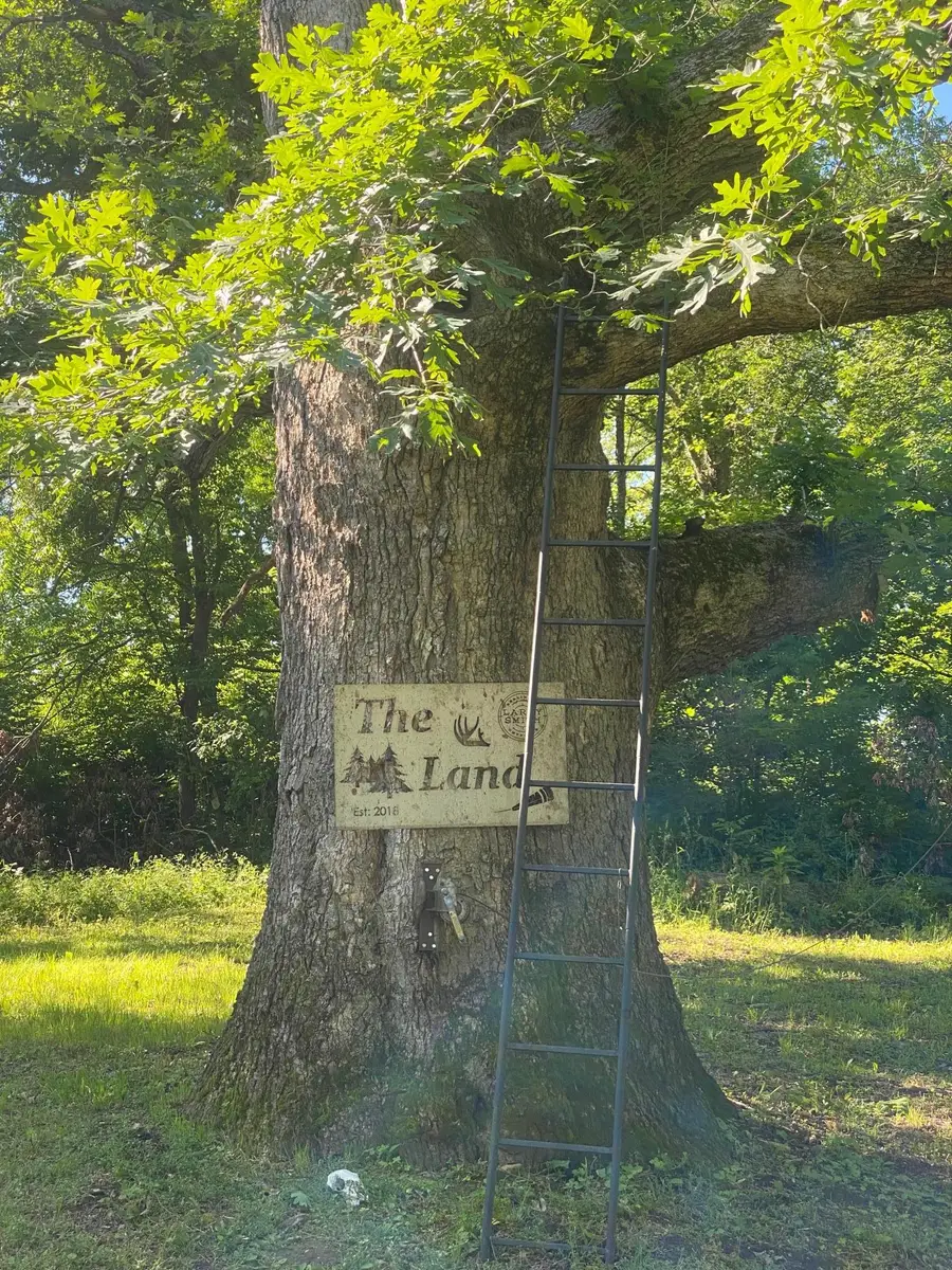 27333 Deep River Road, Lanesboro, MN 55949 - #2