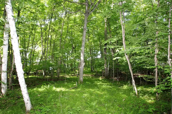 4967X Fish Lake Road, Pelican Rapids, MN 56572