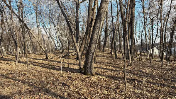 495XX Fish Lake Rd, Pelican Rapids, MN 56572