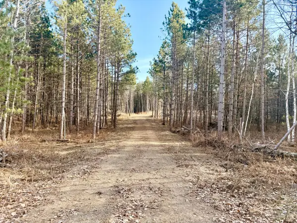 TBD 64th Street Sw, Pequot Lakes, MN 56472