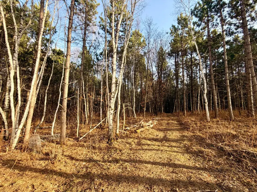 TBD 64th Street Sw, Pequot Lakes, MN 56472 - #2