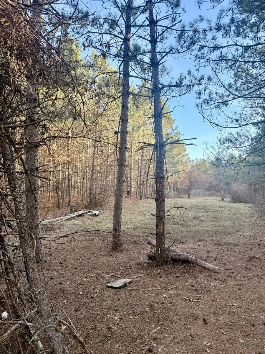 TBD 64th Street Sw, Pequot Lakes, MN 56472 - #3