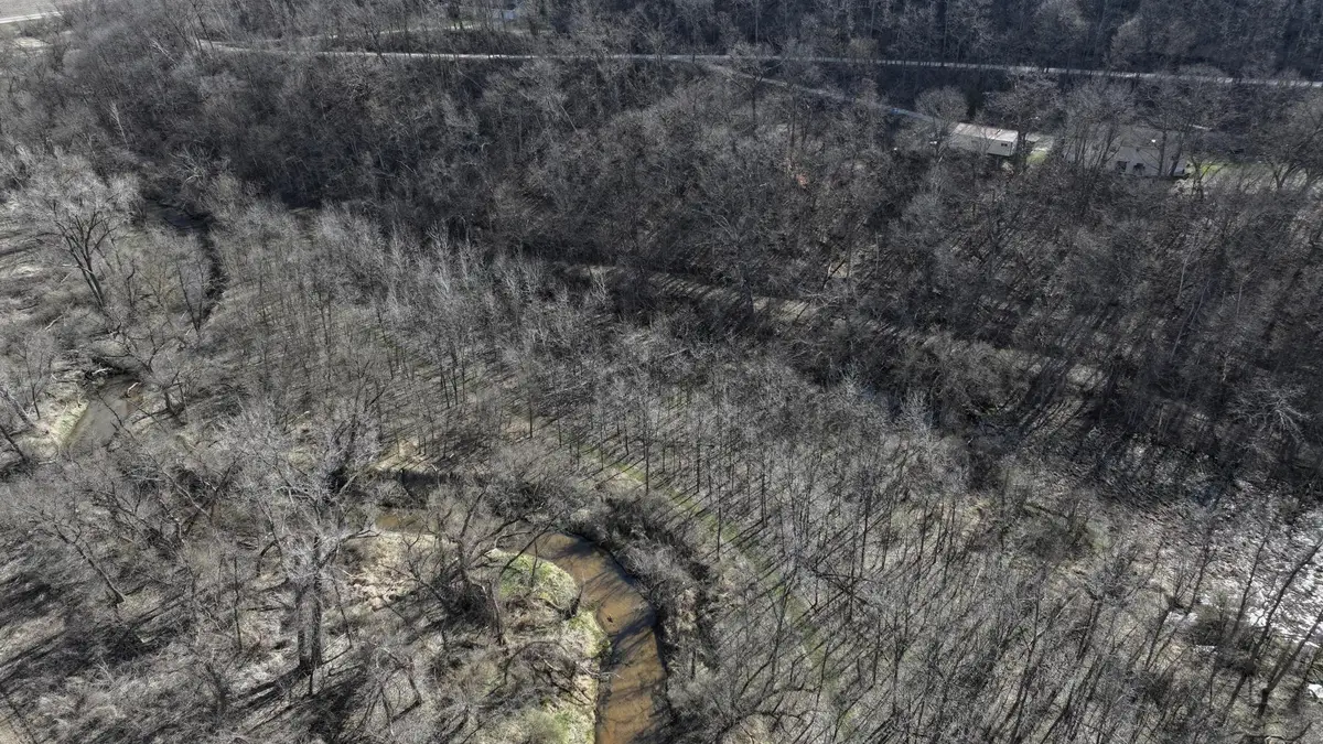 5452 Oak Forest Lane, Houston, MN 55943 - #1