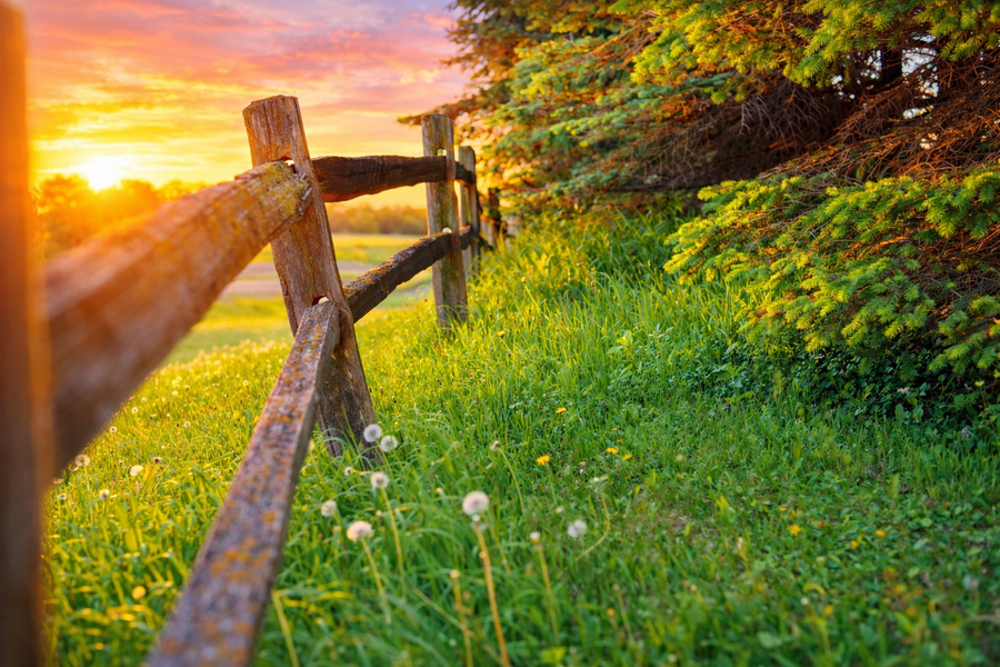 10550 New Prague Boulevard, New Prague, MN 56071 - #2