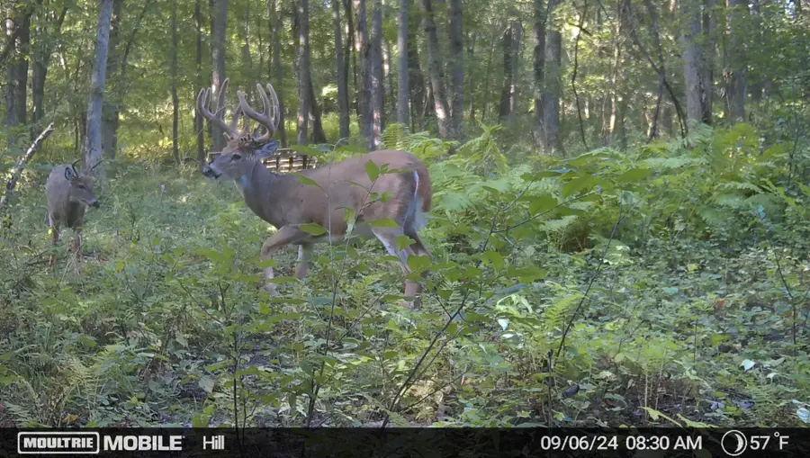 12216 Arcola Trail N, Stillwater, MN 55082 - #2