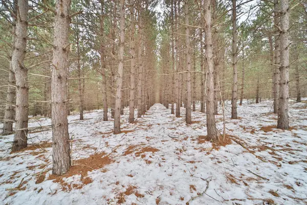 TBD Sleepy Hollow Road, Brainerd, MN 56449