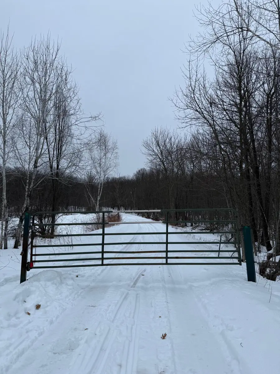 xxx Merlin Road, Hillman, MN 56338 - #2