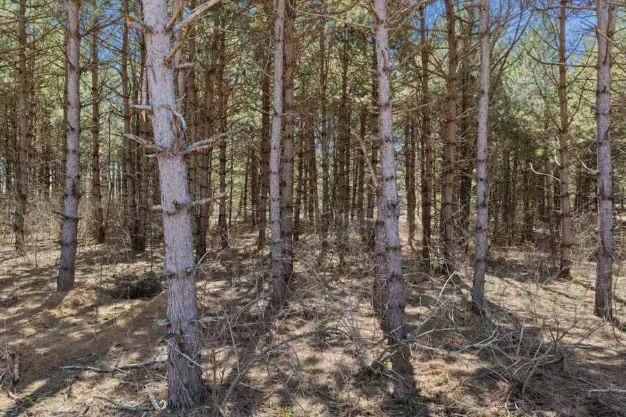 XXXX (Lot 21) 119th Avenue, Roberts, WI 54023 - #3