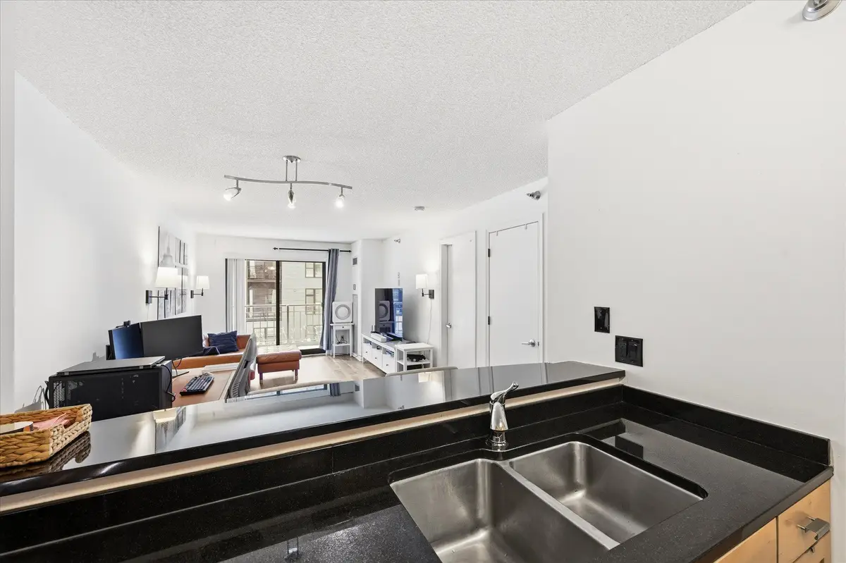 401 1st Street S #203, Minneapolis, MN 55401 - #1