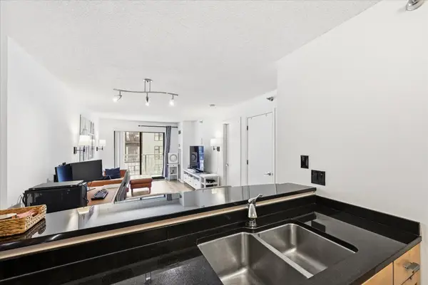 401 1st Street S #203, Minneapolis, MN 55401