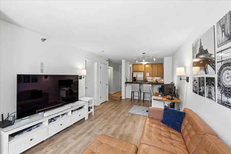 401 1st Street S #203, Minneapolis, MN 55401 - #2