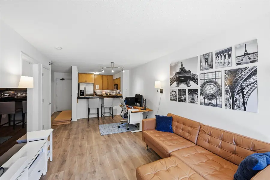 401 1st Street S #203, Minneapolis, MN 55401 - #3