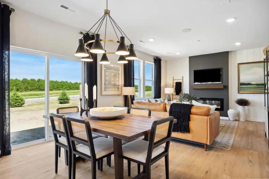 15014 Askeaton Place, Rosemount, MN 55068 - #2