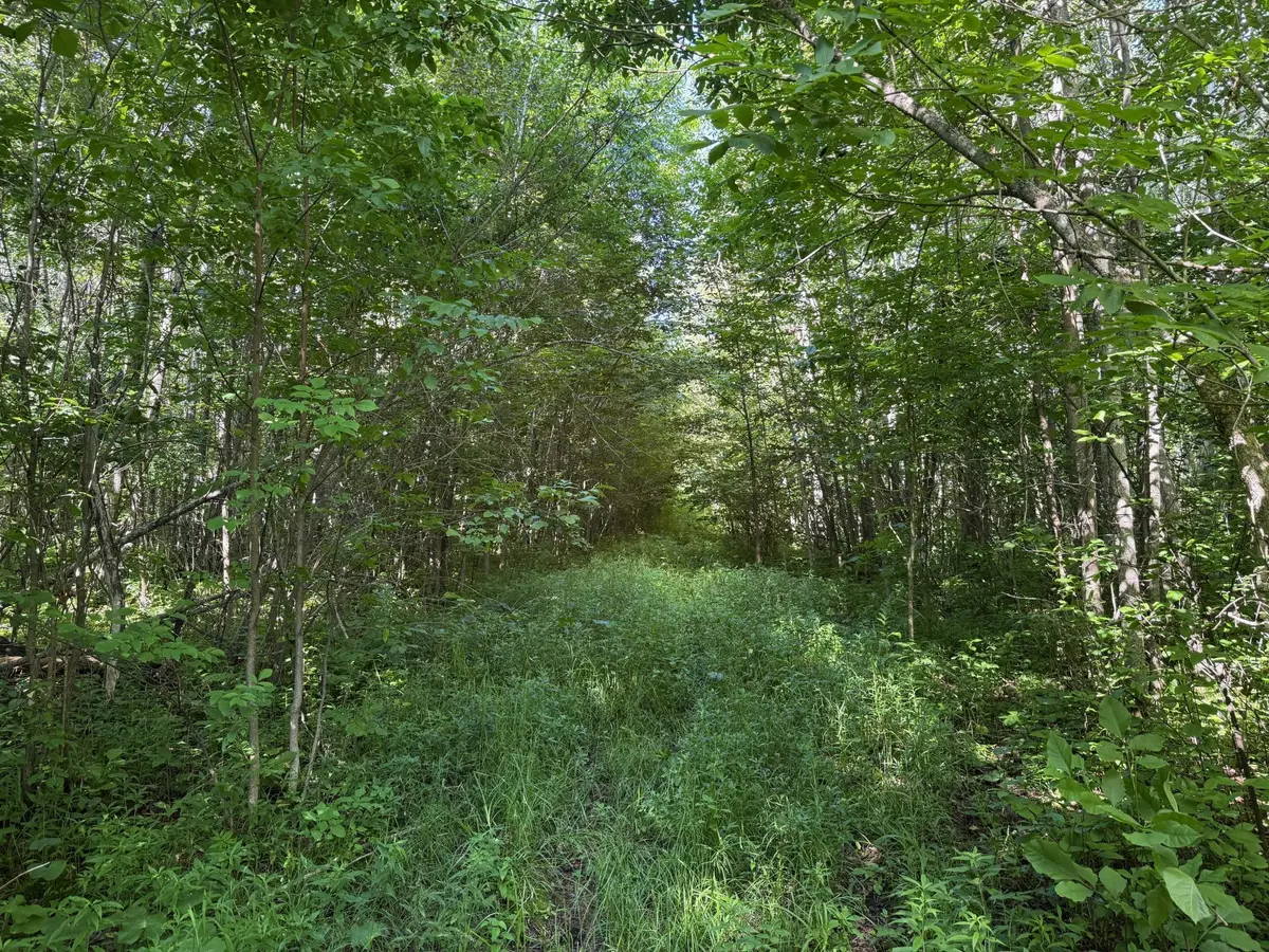 40a Bridgie Road, Northome, MN 56661 - #1