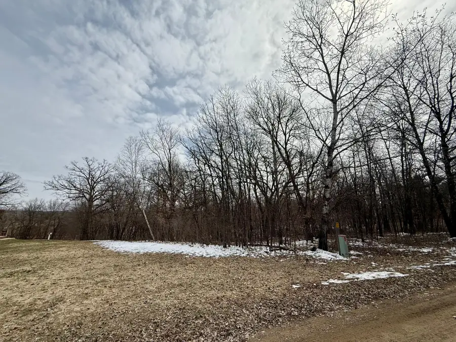 TBD Basswood Drive, Sauk Centre, MN 56378 - #2
