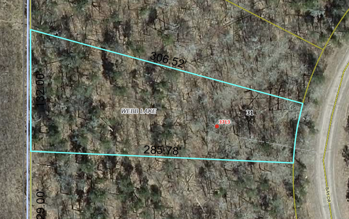 3713 Bay Drive, Webb Lake, WI 54830 - #1
