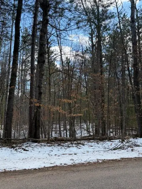 TBD E Long Lake Road, Danbury, WI 54830 - #1