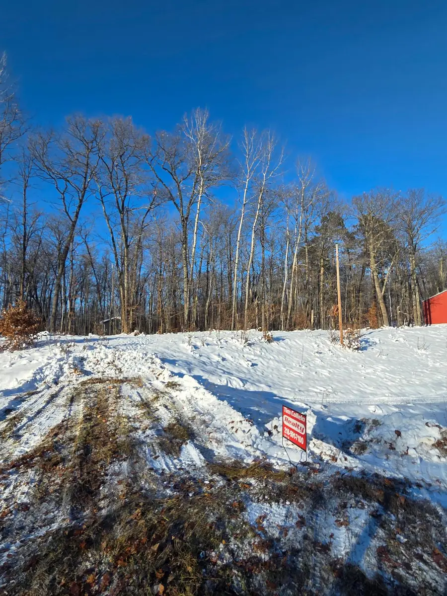 TBDxx Lake Ave, McGregor, MN 55760 - #2