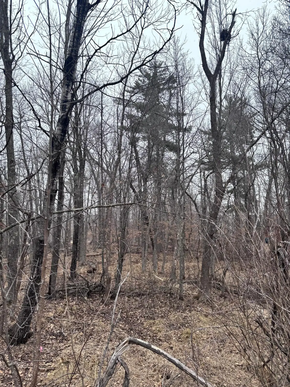 79xx Golf Estates Drive, Pequot Lakes, MN 56472 - #1