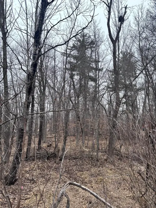 79xx Golf Estates Drive, Pequot Lakes, MN 56472