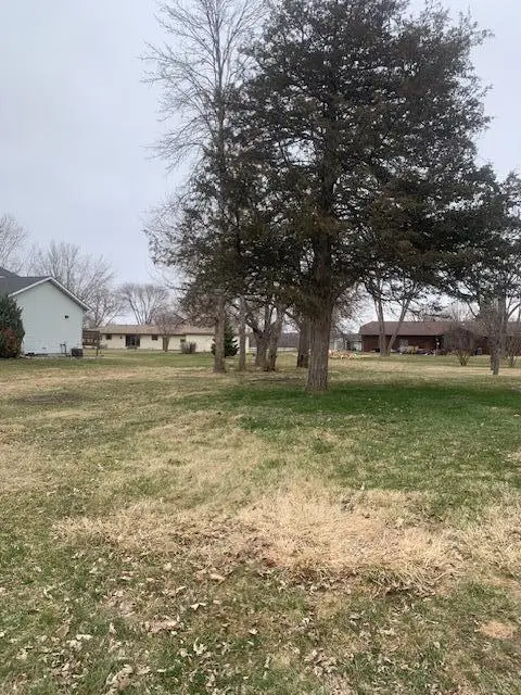 xxx Main St, Belle Plaine, MN 56011 - #2