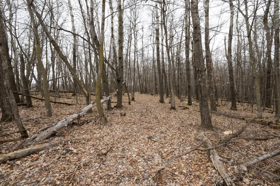 Lot 3 Saylers Beach Road, Lake Park, MN 56554 - #3