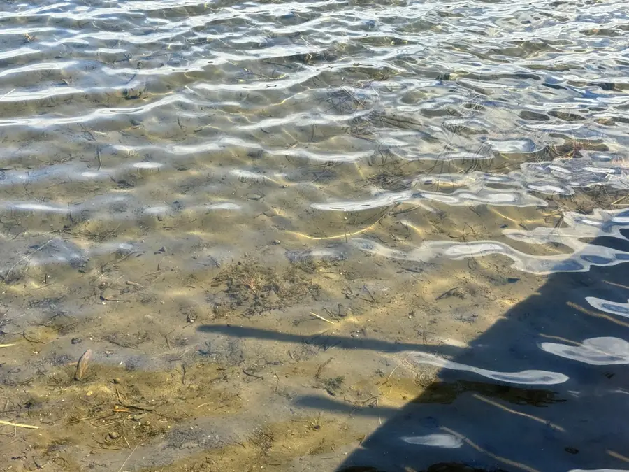 20503 Jewel Drive, Park Rapids, MN 56470 - #3